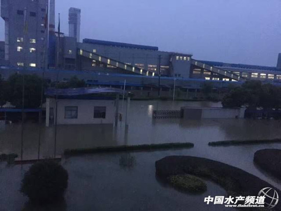 暴雨緻26省受災，損失506億元，水産養殖首當其沖