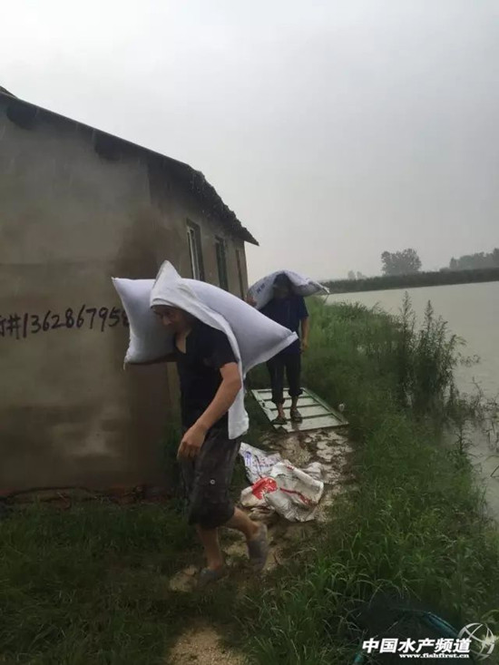 暴雨緻26省受災，損失506億元，水産養殖首當其沖