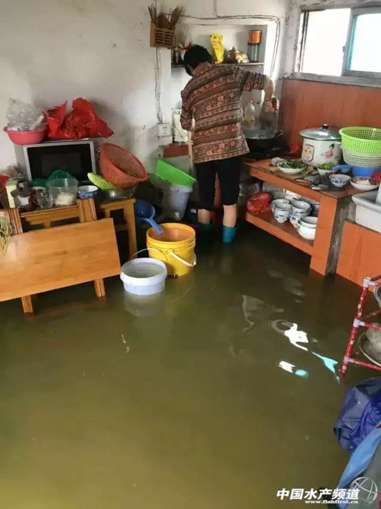 暴雨緻26省受災，損失506億元，水産養殖首當其沖