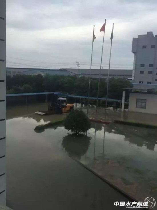 暴雨緻26省受災，損失506億元，水産養殖首當其沖
