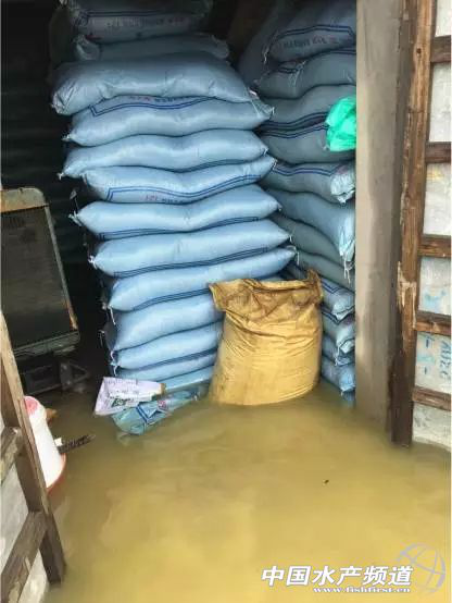 暴雨緻26省受災，損失506億元，水産養殖首當其沖
