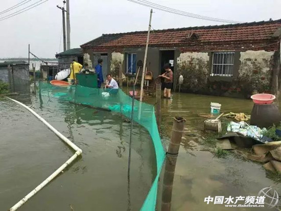 暴雨緻26省受災，損失506億元，水産養殖首當其沖