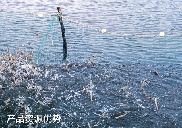 鮮美來(lái)
